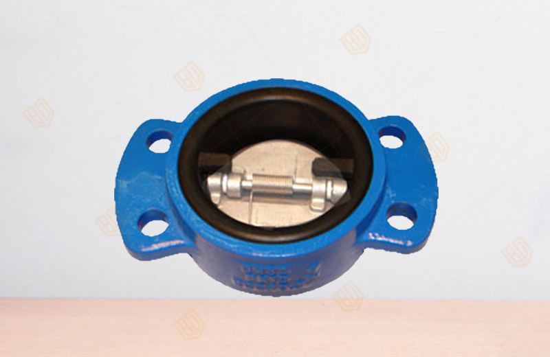 Full Glue-lined Desulfurization Check Valve