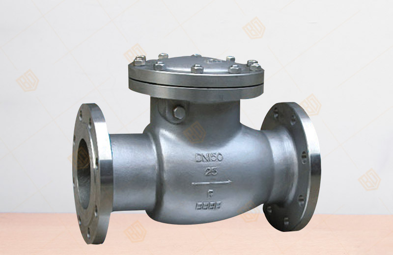 Stainless Steel Swing Check Valve